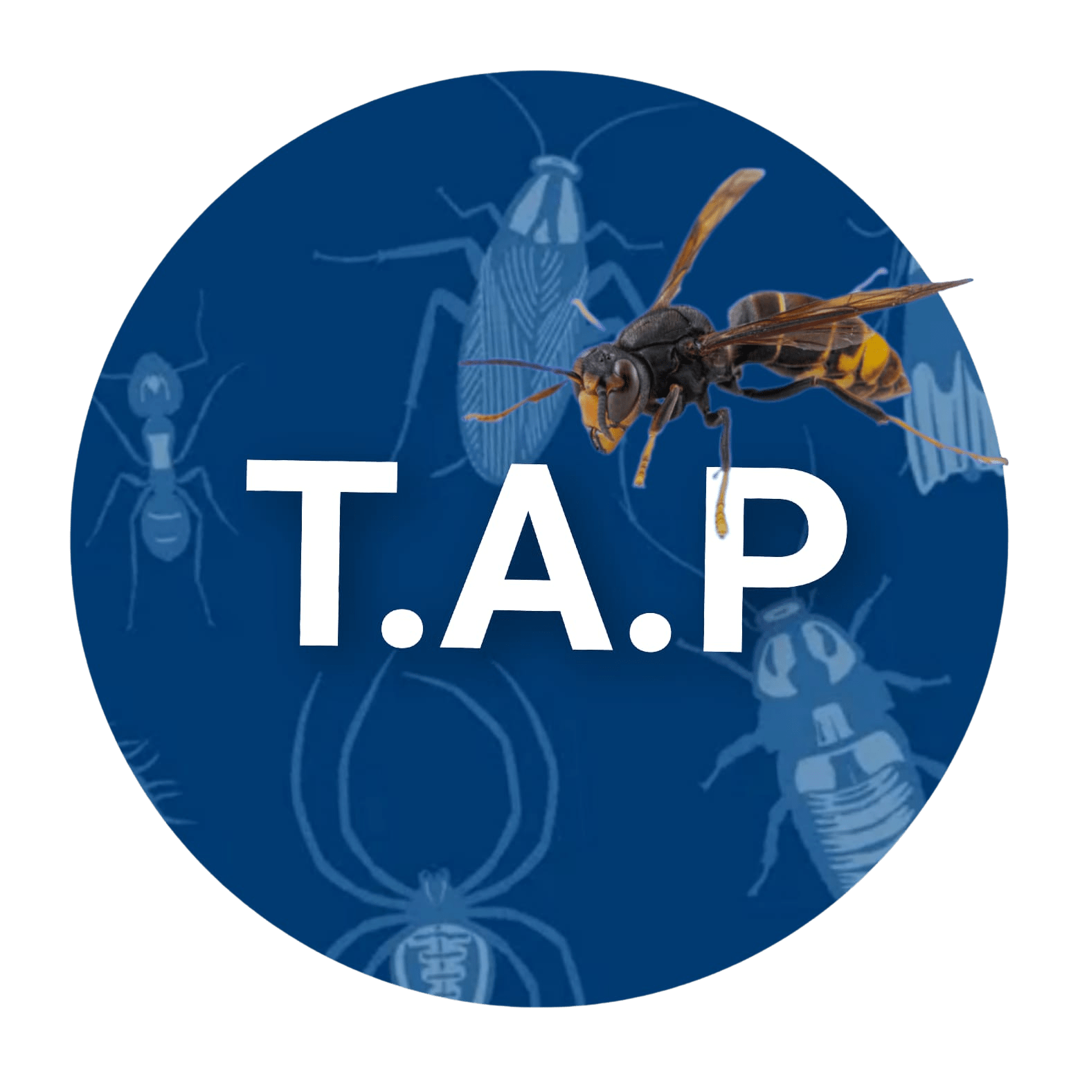 logo tapfrance
